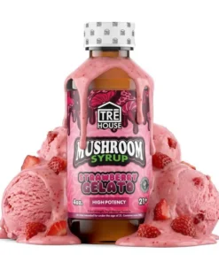 Strawberry Gelato Mushroom Syrup