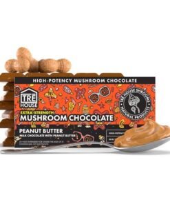 Extra-Strength Mushroom Chocolate Bar
