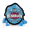 Blue Raspberry Extra-Strength Mushroom Gummies